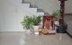thum-m_I1wUdWj0gK_1717226512.jpeg
