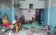 thum-9135139_Fh96D5QVtT_1717303716.jpg