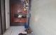 thum-9135195_Lv2eSQguRA_1717334360.jpg