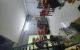 thum-m_z9U0ZoqmrH_1717335607.jpg