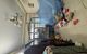 thum-9135246_R2swZnNcYG_1717381645.jpg