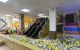 thum-9135311_UNq6Md41Bv_1717389729.jpg