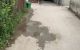 thum-m_uzesiC5xwG_1717556497.jpg