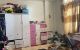 thum-9136129_hrGc40ulzE_1717656790.jpg