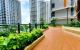 thum-9136175_2jpxo4SbN5_1717666671.jpg