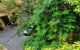 thum-m_w75KHdsJOl_1717684632.jpeg