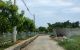 thum-9136333_UPJAvwy2Kr_1717745594.jpg