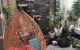 thum-9136351_Vyk5mgCaJP_1717747139.jpg