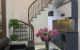 thum-m_UKgrApLlBD_1718248348.jpg