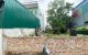 thum-9137958_IlDfXLgKTN_1718531891.jpg