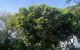 thum-9138371_xUSyLfBceD_1718703945.jpg