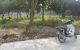 thum-9138591_1EylVbmaBO_1718808039.jpeg