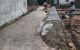 thum-9138622_qDhzjlNy8n_1718839876.jpeg