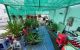 thum-9138701_lips8oHraU_1718860357.jpeg