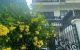 thum-9138788_TkLQf4ESZq_1718889171.jpg