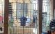 thum-9139020_1cubdW2Z4X_1719026562.jpg