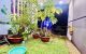 thum-9139431_PSMboDKir9_1719222557.jpeg