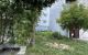 thum-m_AMeFZDOryY_1719200798.jpg