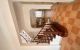 thum-9139692_YDnGIdfe8U_1719322370.jpg