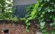 thum-9140032_v3NAPDJSFL_1719464346.jpg