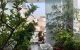 thum-9140113_uXrFdM9qyR_1719489817.jpg