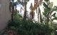 thum-9140254_jnotL5ivrJ_1719547400.jpg
