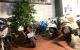 thum-9140258_T29EnwyNQB_1719549387.jpg