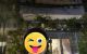 thum-9140284_0IpFy5Y9Bj_1719558894.jpeg
