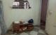 thum-9140367_qk3LP4emg6_1719591346.jpg