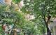 thum-m_ZBXwcihxyo_1719621983.jpg