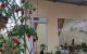 thum-9140548_nGhuHp7SCl_1719716220.jpg