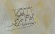 thum-9140795_vx3bV9N24U_1719846646.jpg