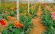 thum-9141008_wHeThmb4OM_1719973375.jpg