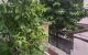 thum-9141063_1qdAIhB0ml_1719988152.jpg