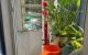 thum-9141116_7KD5mhGpMI_1719997347.jpg