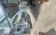 thum-m_THxcwELGsa_1719989681.jpg
