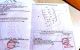thum-9141221_DU93Gf5P02_1720065874.jpg