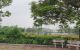 thum-9141239_FBGNQrvS8P_1720068442.jpg