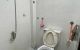 thum-9141802_ervgN6Ba8Q_1720361686.jpg