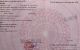thum-9141818_Z6i3zhoO1S_1720365202.jpg