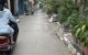 thum-9142423_OBsmnh97ao_1720603262.jpg