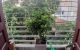 thum-9142869_jKt5CTQvd4_1720795365.jpg