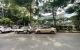 thum-m_LgcX2GP7r1_1720775438.jpg