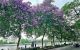 thum-m_zhWk5NaXEr_1720745103.jpg