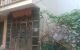 thum-m_FTMDcvo9X8_1720863836.jpg