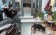 thum-m_BSKelq7umZ_1720929971.jpg