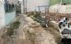 thum-m_IfYjFceVPu_1720927633.jpg