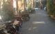 thum-m_K0WJ5do9SD_1720912981.jpg