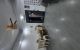 thum-9143208_IQ3BxTHhRV_1721012399.jpg