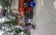 thum-9143303_zrRt03pGsh_1721035609.jpg